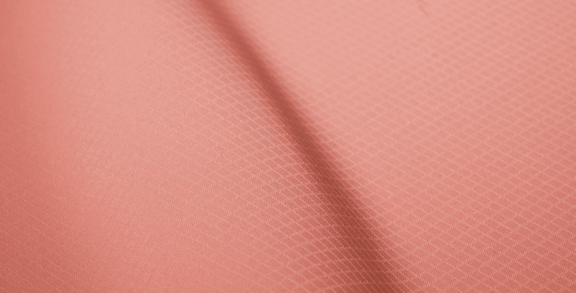 WS