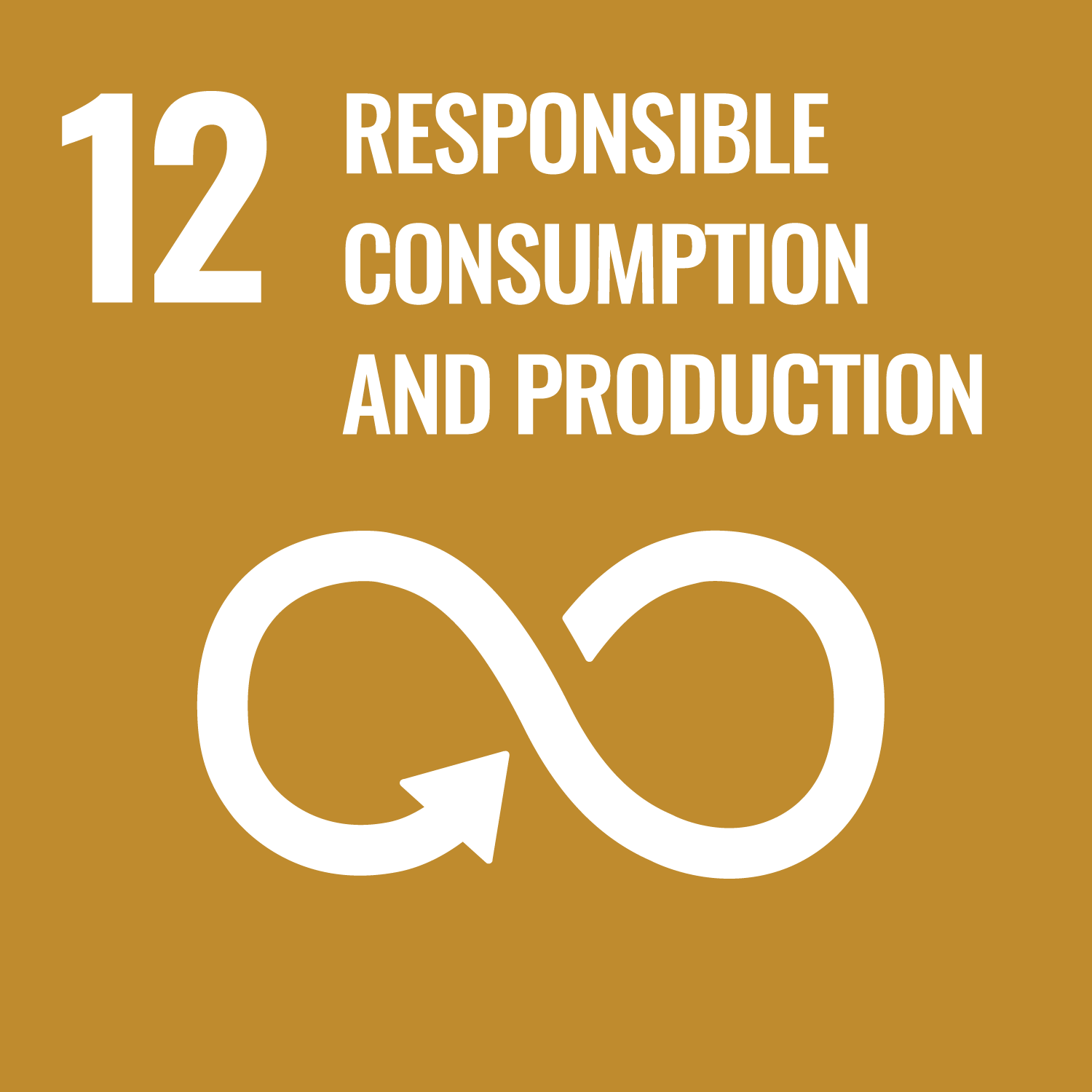 12：RESPONSIBLE CONSUMPTION AND PRODUCTION