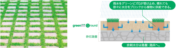雨水をグリーンビズGが受け止め、晴れても徐々に水分をブロックから植物に供給できる。余剰水分は路盤・路床へ。