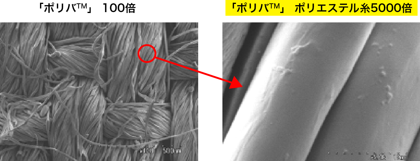 表　A香港型インフルエンザウイルス(H3N2)の活動抑制効果