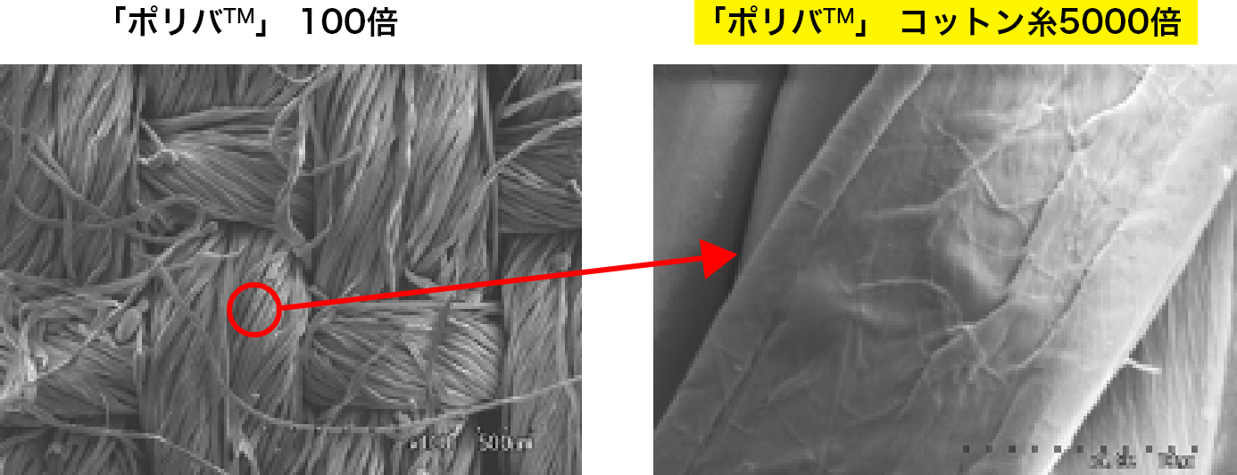 図　ウイルス分解の流れ（イメージ図）