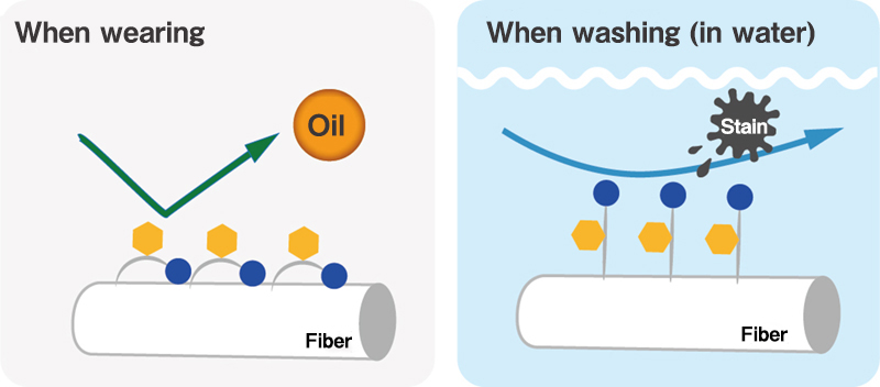 Stain Removal Mechanism (Lipguard -W)