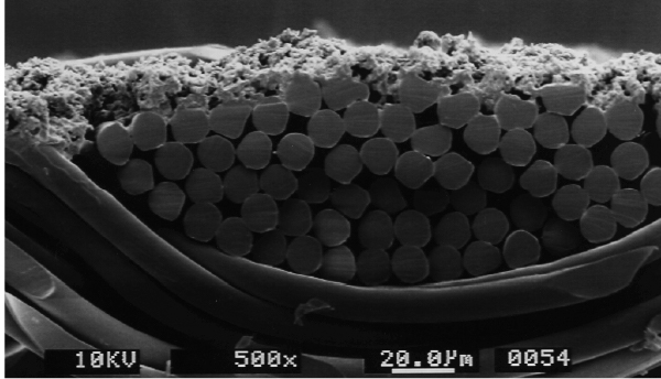 Fig.4 Cross-section image