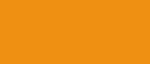 ONION タマネギ Yellow 03