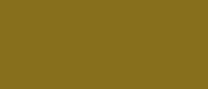 ONION タマネギ Yellow 07