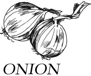 ONION