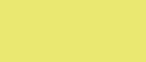 ONION Yellow 01