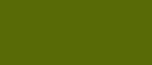 OLIVE Blue-Green 02