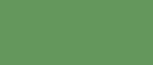 OLIVE Blue-Green 05