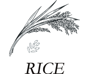 RICE 米