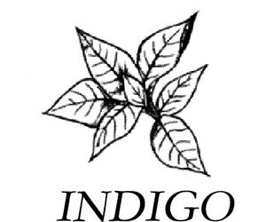 INDIGO インディゴ