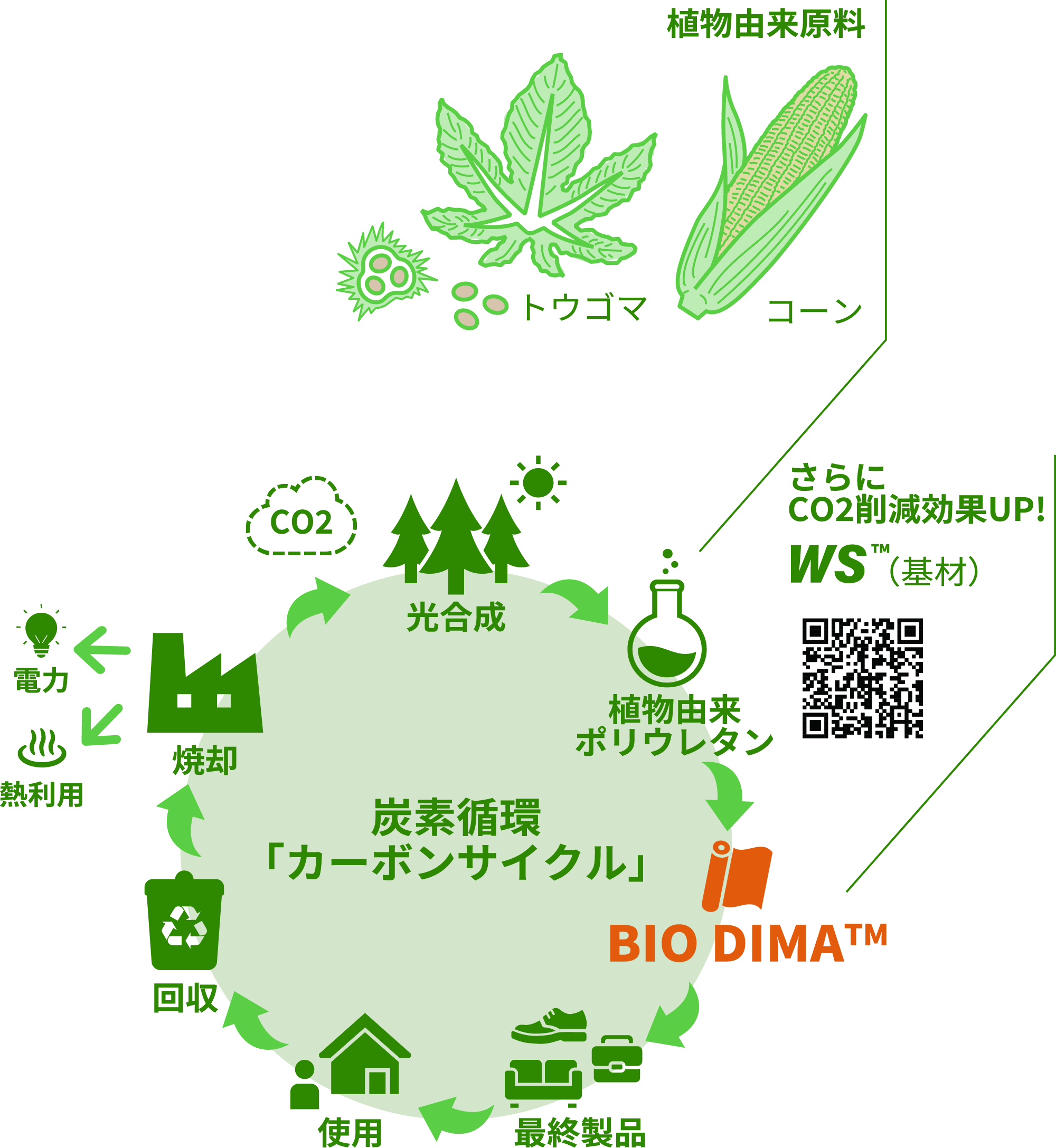 図1 ポリエステル特融の寸法安定性、速乾性はそのままにしながらこれまでの弱点を解決した素材「マーバス®」