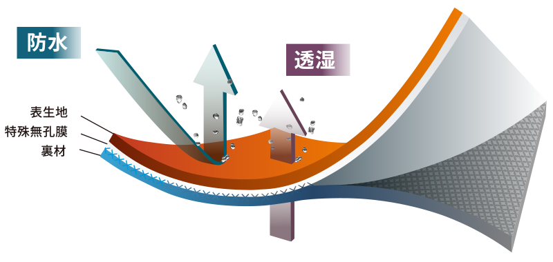 QUATTRONI-TK構造図